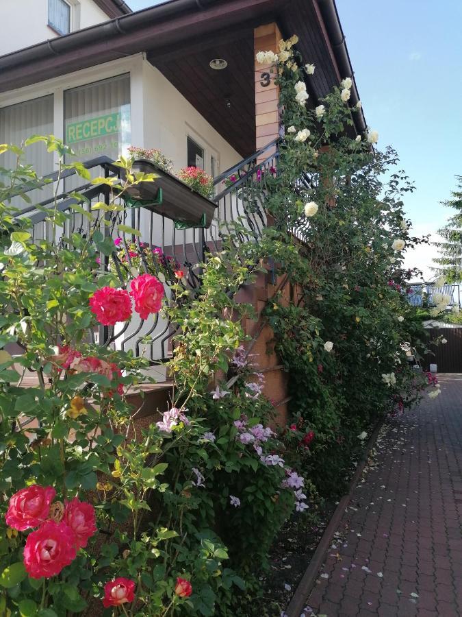 Gościniec pod Różą Chełmno Exterior foto